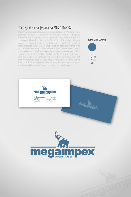 MegaImpex, лого и визитка.